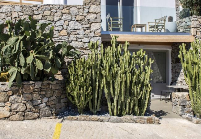 Villa in Mykonos - Luxury 6 Bedroom Villa in Agios Lazaros Mykonos Villa in Mykonos - Luxury 6 Bedroom Villa in Agios Lazaros Mykonos